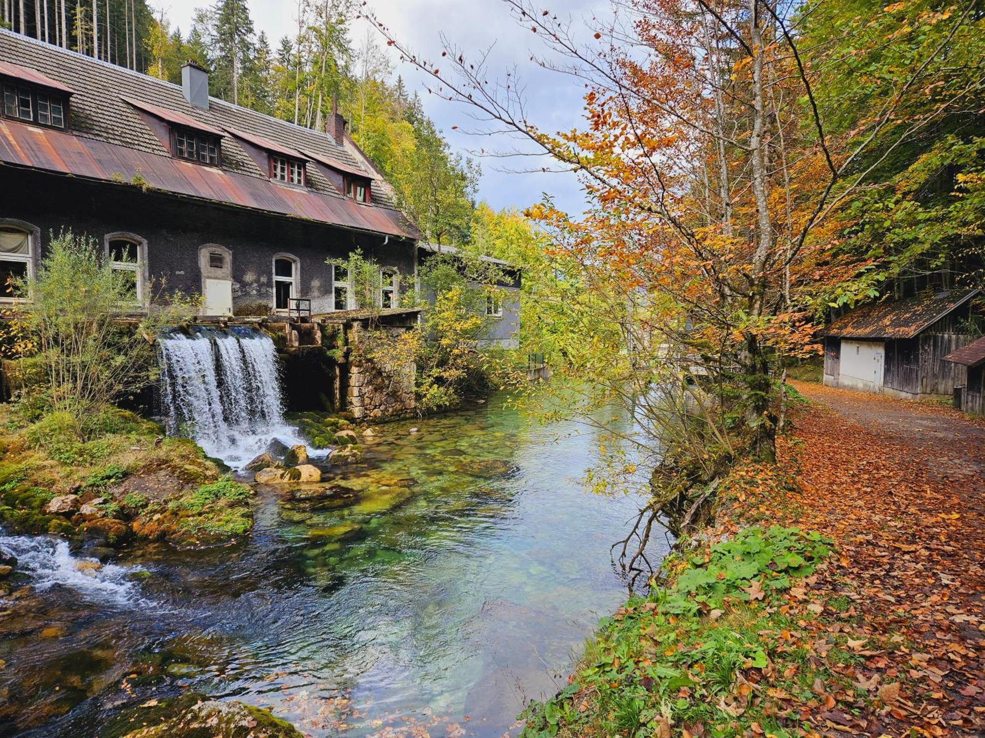 Ferienwohnung Blick Ins Gruene Rossleithen Exterior foto